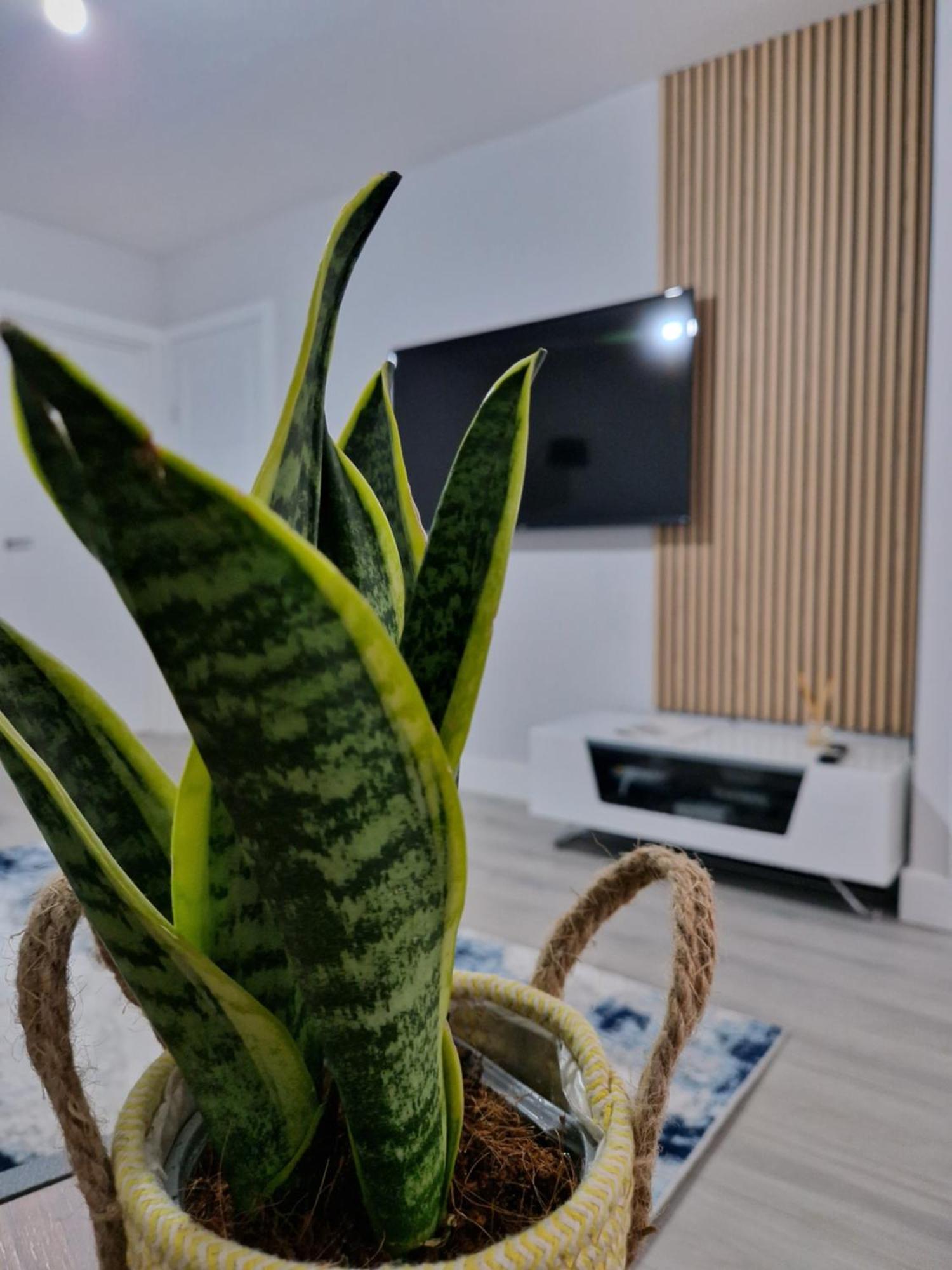 Stylish 2 Bed Home- Short Walk To Tottenham Stadium/Stations Londres Exterior foto